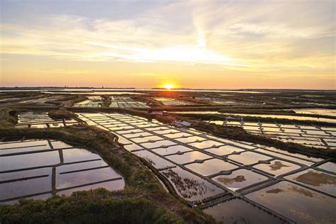 Guérande salt marshes - 